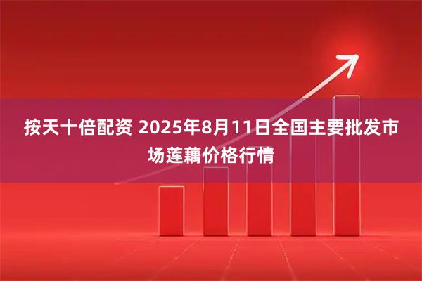 按天十倍配资 2025年8月11日全国主要批发市场莲藕价格行情