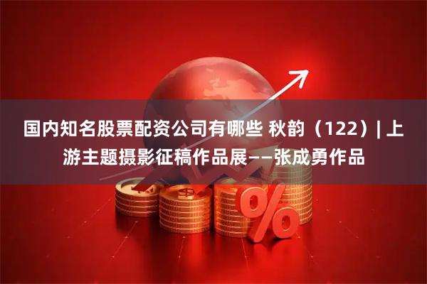 国内知名股票配资公司有哪些 秋韵（122）| 上游主题摄影征稿作品展——张成勇作品