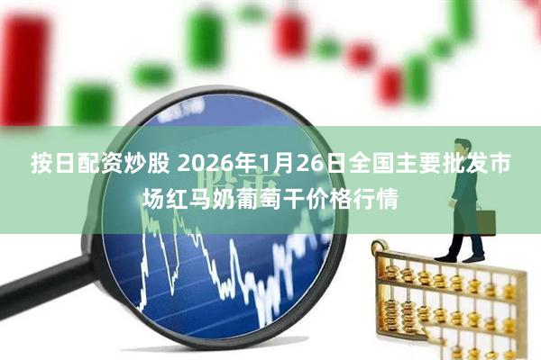 按日配资炒股 2026年1月26日全国主要批发市场红马奶葡萄干价格行情