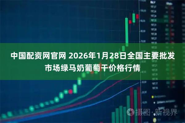 中国配资网官网 2026年1月28日全国主要批发市场绿马奶葡萄干价格行情