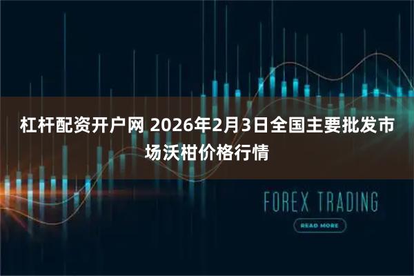 杠杆配资开户网 2026年2月3日全国主要批发市场沃柑价格行情