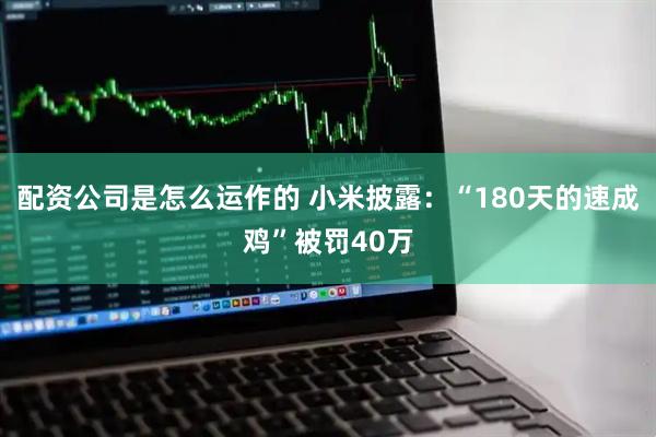 配资公司是怎么运作的 小米披露：“180天的速成鸡”被罚40万
