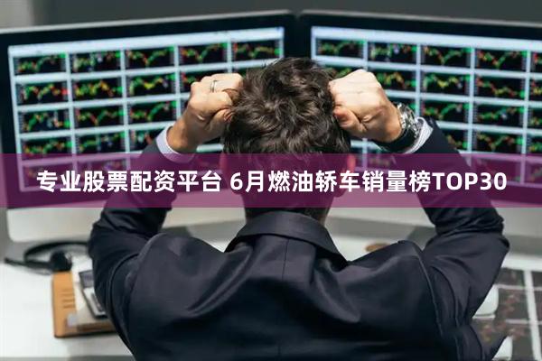 专业股票配资平台 6月燃油轿车销量榜TOP30